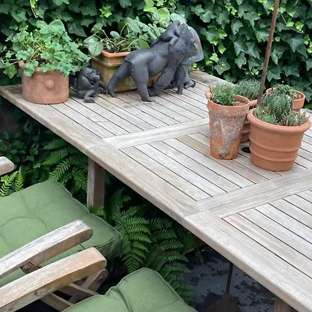 Verrassende Ruime Stadswoning Nabij Station, Centrum Met Unieke Tuin. * Venlo
