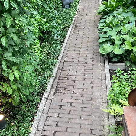 Verrassende Ruime Stadswoning Nabij Station, Centrum Met Unieke Tuin. * Venlo