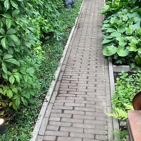 Verrassende Ruime Stadswoning Nabij Station, Centrum Met Unieke Tuin. * Venlo