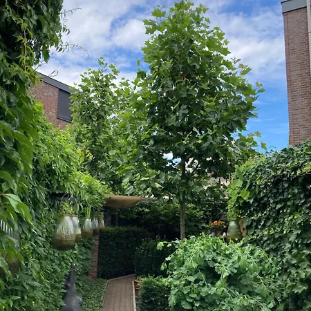 Verrassende Ruime Stadswoning Nabij Station, Centrum Met Unieke Tuin. Venlo