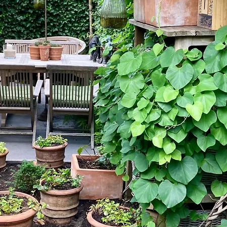 Villa Verrassende Ruime Stadswoning Nabij Station, Centrum Met Unieke Tuin.